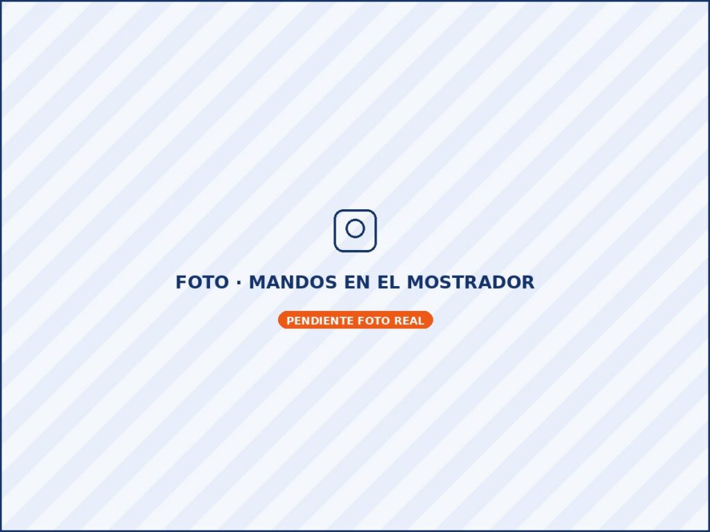 Mando de coche no funciona: mandos de coche en el mostrador
